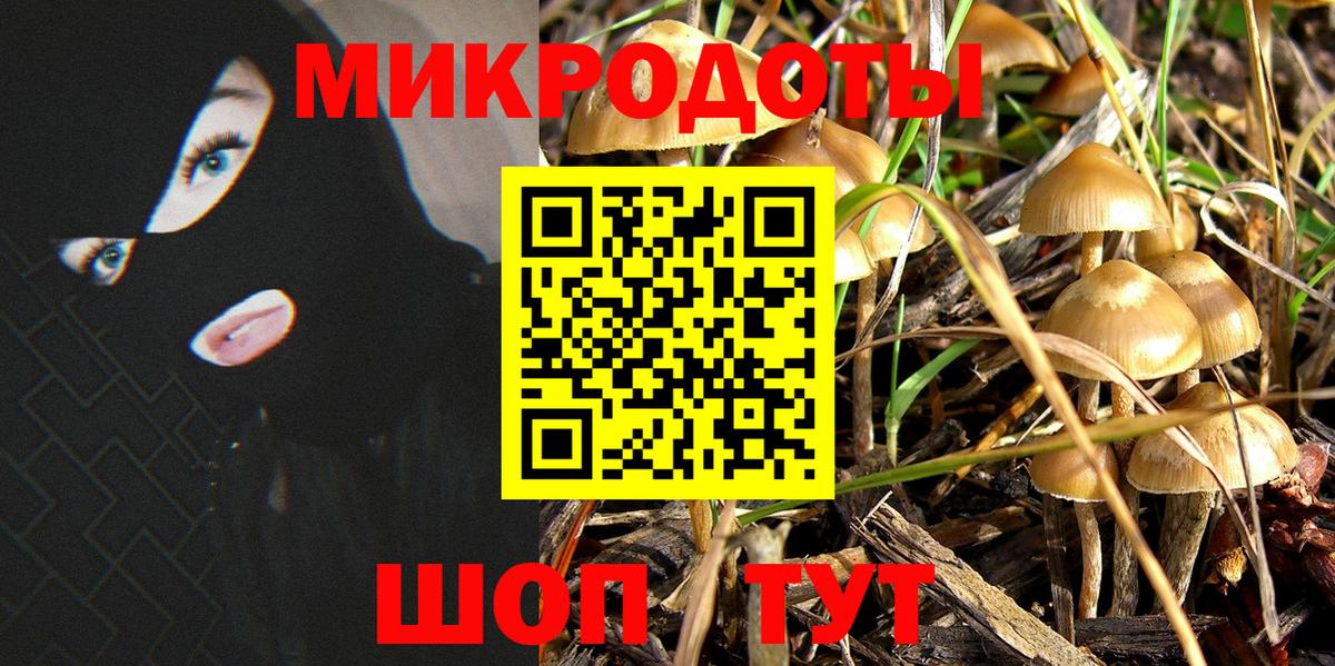 Югорск  Псилоцибиновые грибы GOLDEN TEACHER  Вход с VPN  Галлюциногенные грибы Cubensis 
