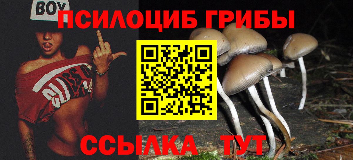 Галлюциногенные грибы MAGIC MUSHROOMS Югорск